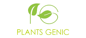 Digital Marketing Agency In Dubai