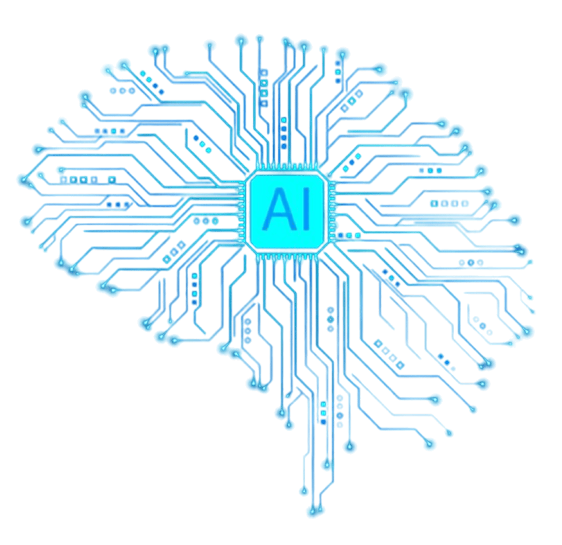 Custom web application 